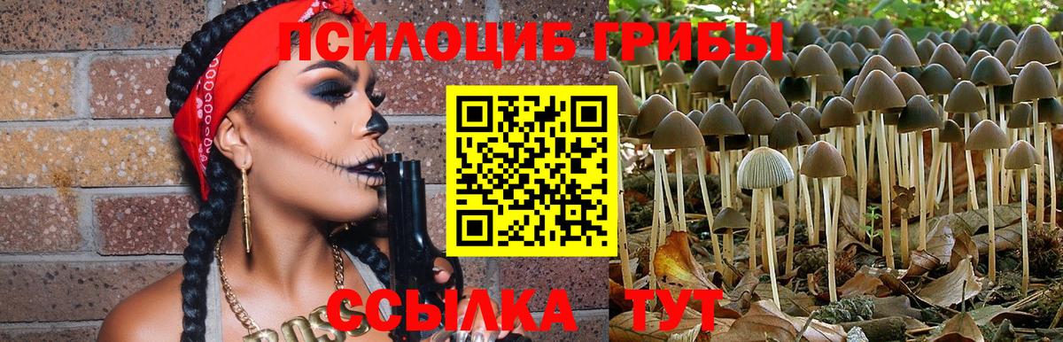 Галлюциногенные грибы GOLDEN TEACHER Кирово-Чепецк